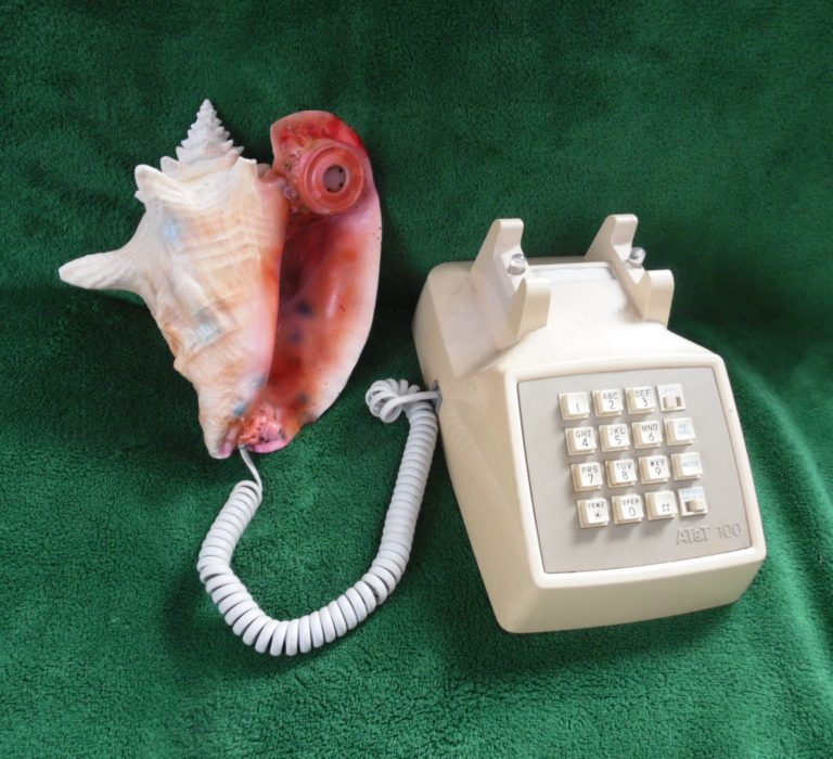 shell phone Southwind Airbrush