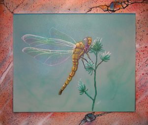 Dragonfly with Frame