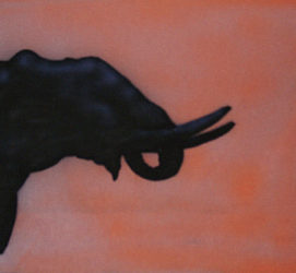 Elephant-blackhead